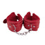 Loving Joy Beginner's Bondage Kit Red (8 Piece)